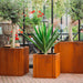 Clara Large Set Planters GrillSymbol