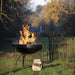 Plain Jane 120 Fire Pit with Four Swing Arm BBQ Racks Firepits UK with logs